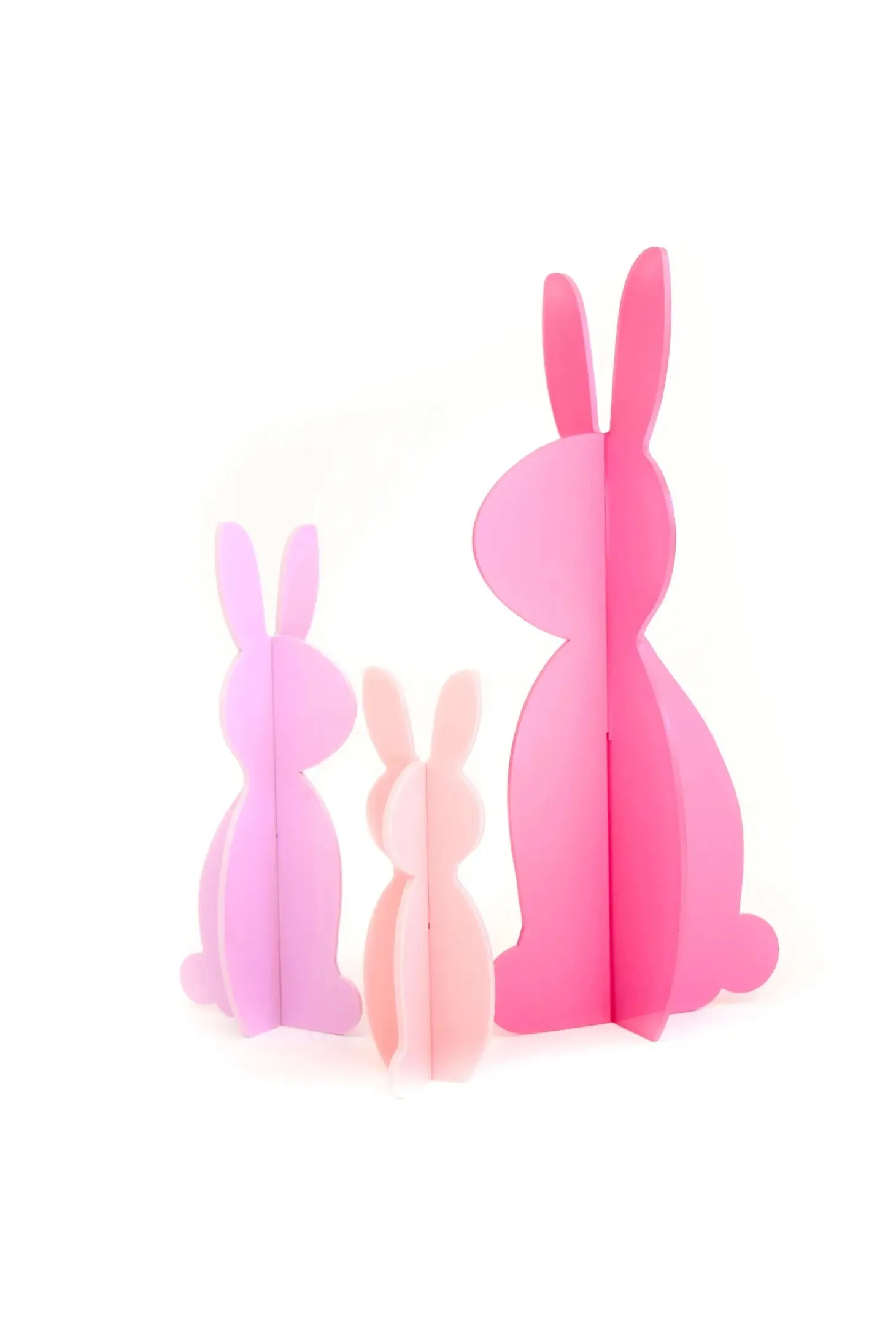 Acrylic Bunnies