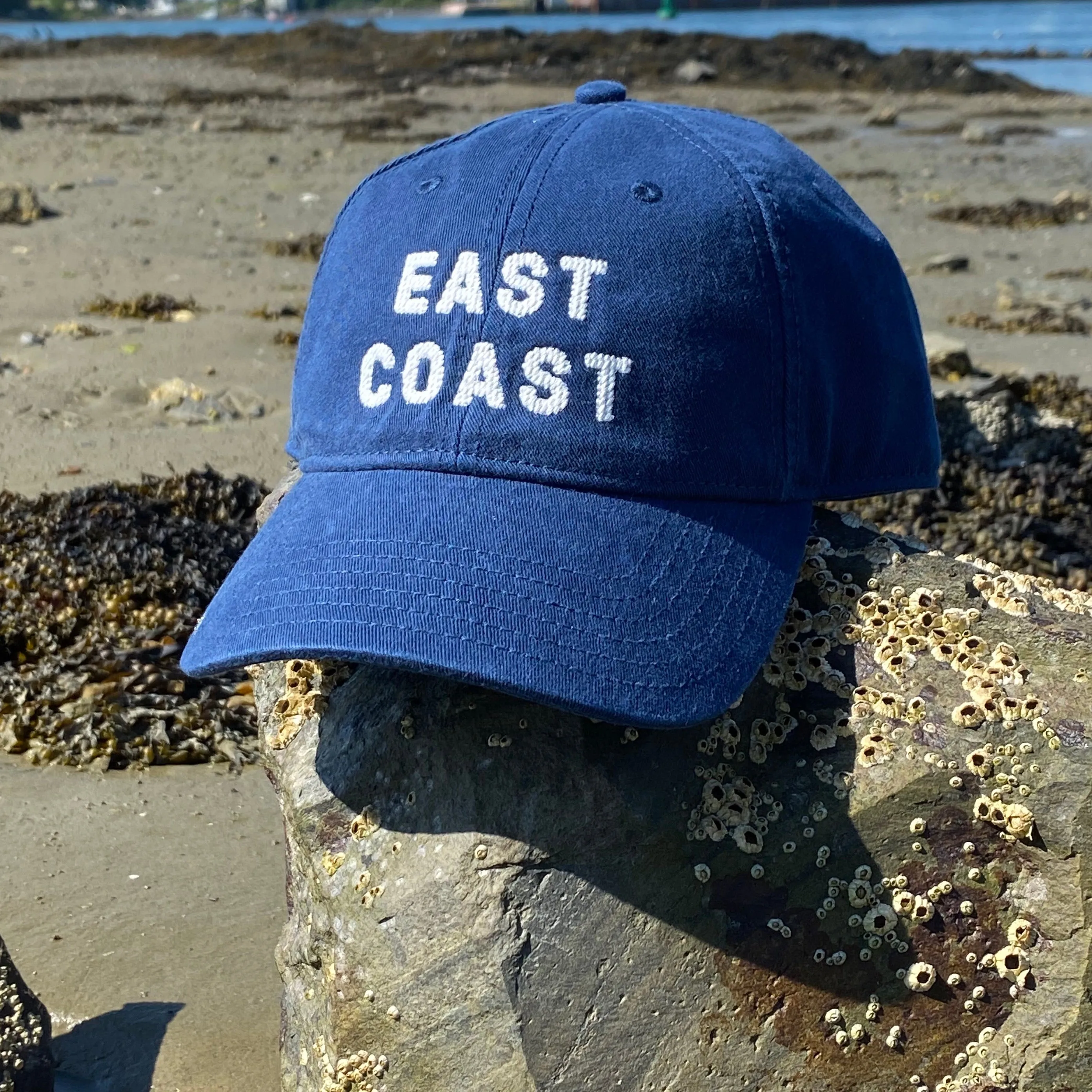 East Coast Needlepoint Cap, Navy