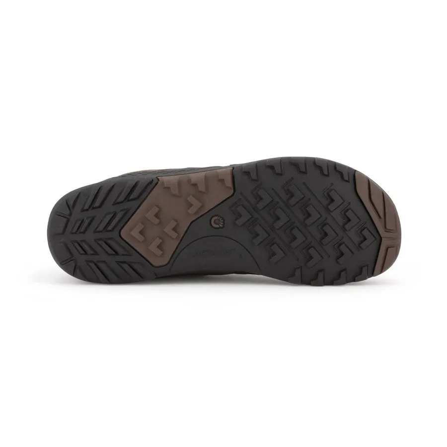 Men's Daylite Hiker Fusion (Pecan)