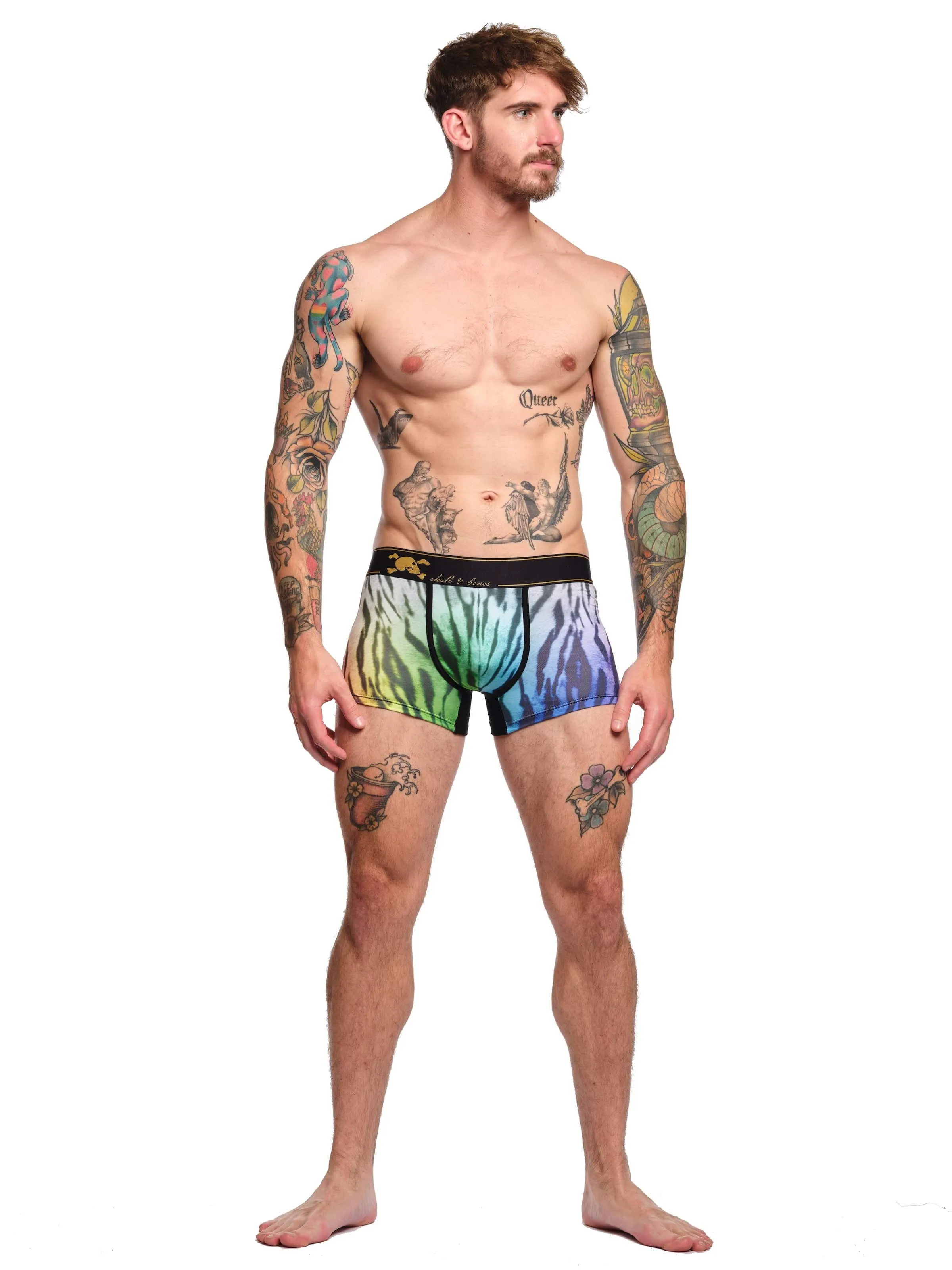 Rainbow Tiger Ombre Trunk