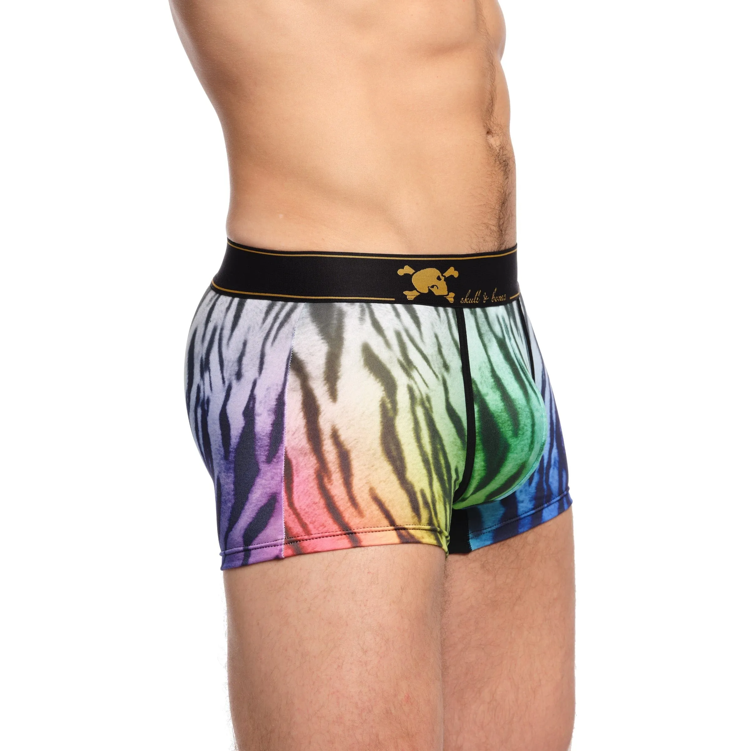 Rainbow Tiger Ombre Trunk