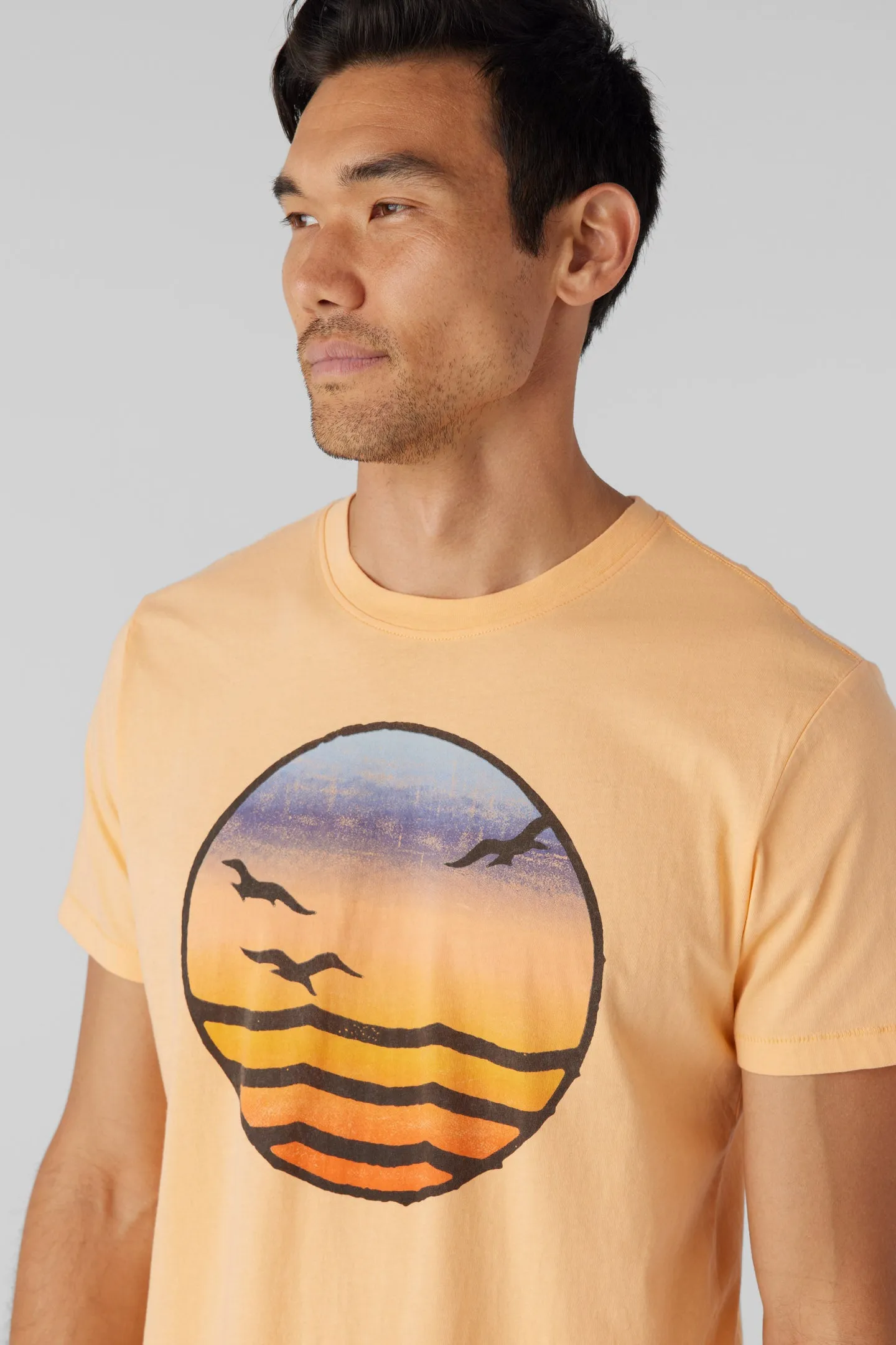 Sol Bird Sunset Tee