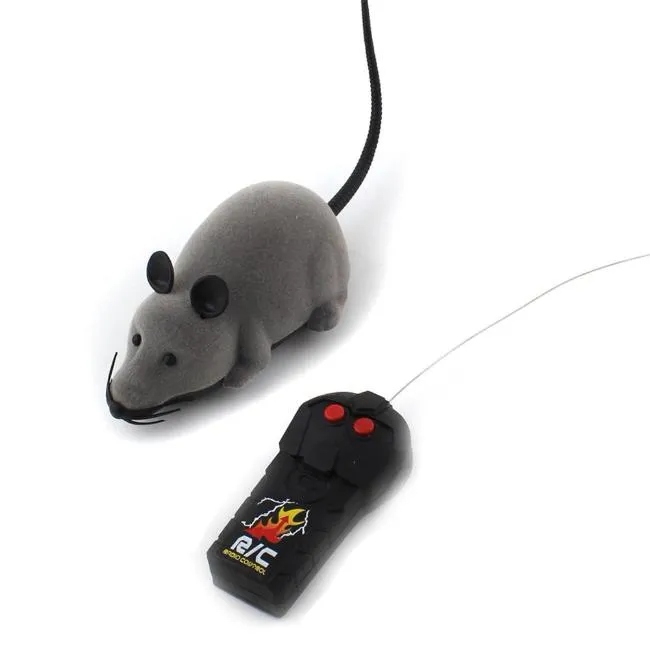 The Mouse R/C Toy